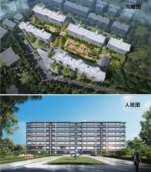 独家揭秘 雨花两大纯新盘携手龙湖操盘，行业新篇章开启非居住租赁新时代